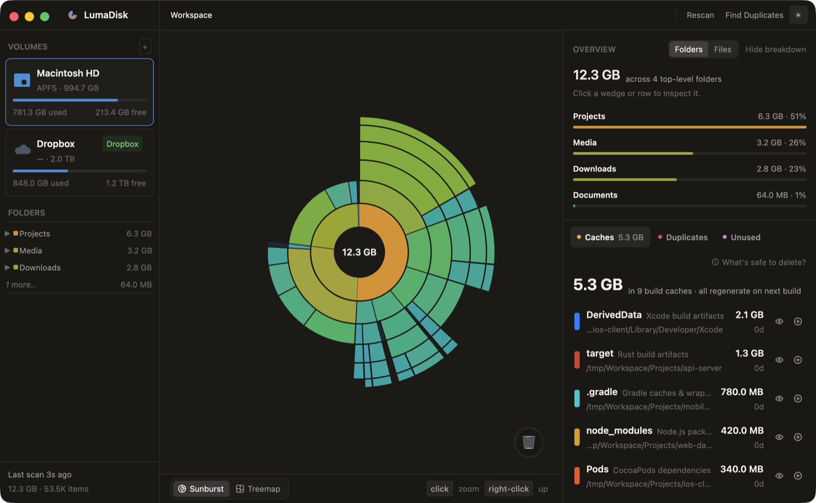 LumaDisk showing 12.3 GB across four top-level folders as concentric rings, with a panel giving Projects 51 per cent, Media 26 and Downloads 23, above 5.3 GB of build caches it names