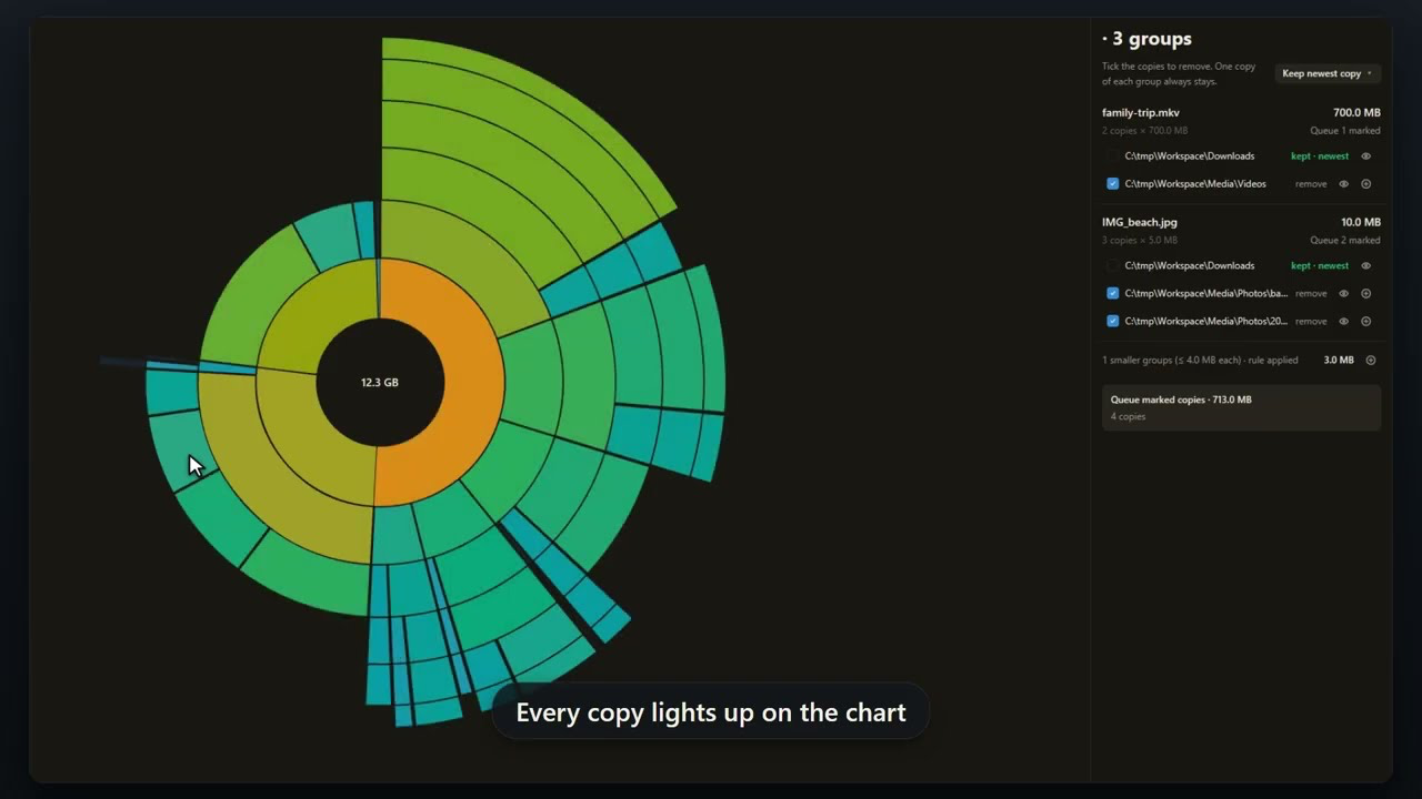 LumaDisk showing a sunburst map of disk usage next to its duplicate-file list